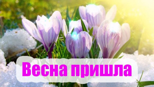 Весна пришла надпись