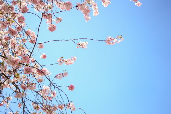 Вечное солнце