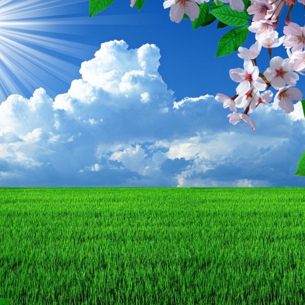 Солнечное лето