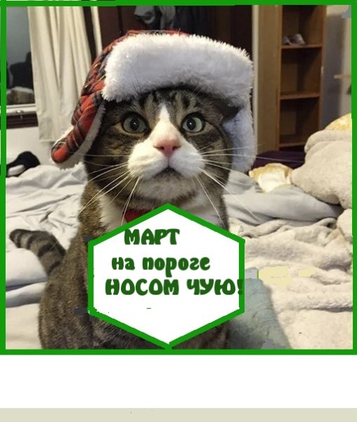 Носом чую скоро Весна