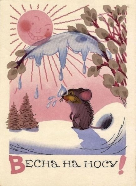 Кошка в венке из цветов