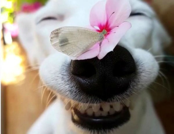 Весна на носу