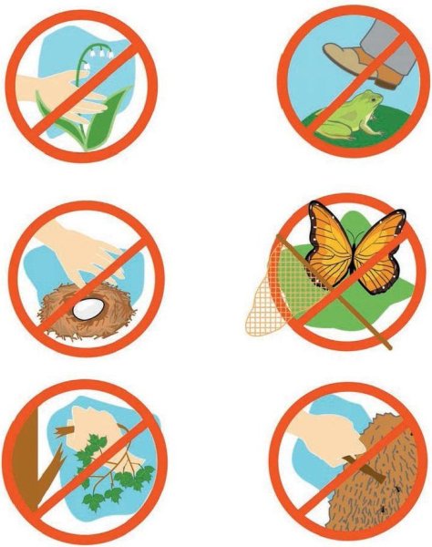 Правила друзей природы 2 класс