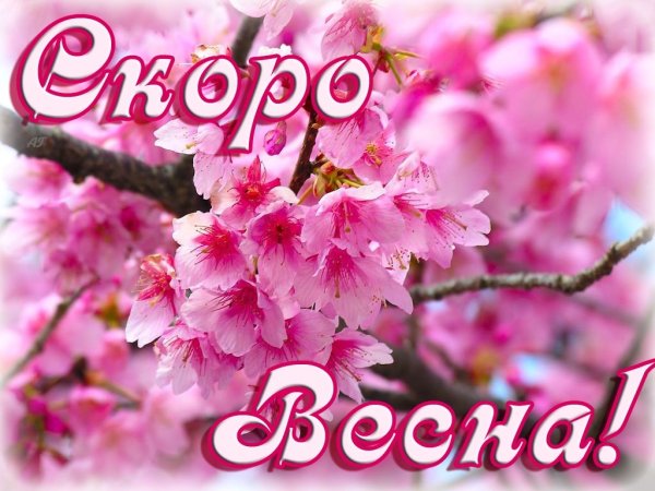 Открытки скоро Весна