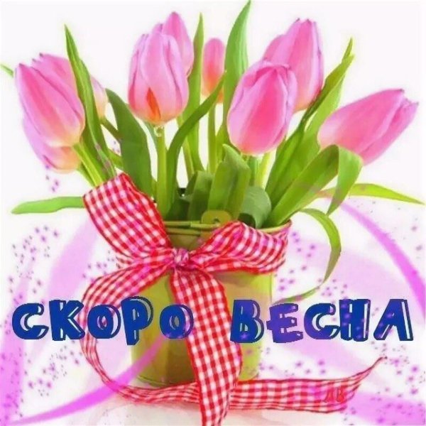 Цветы под снегом