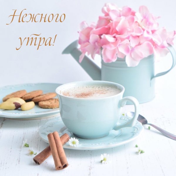 Доброе нежное утро