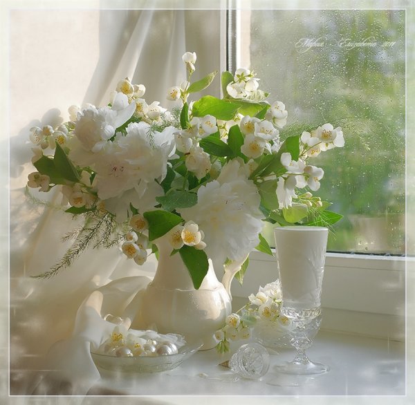 Нежное утро