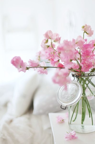 Нежная Весна