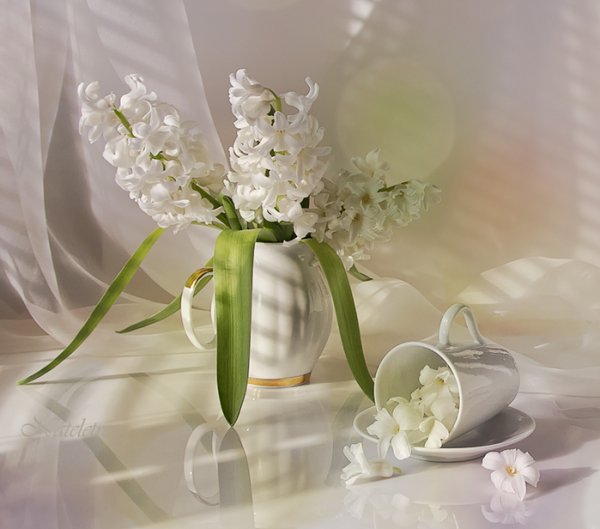 Пожелания с добрым утром нежные и красивые