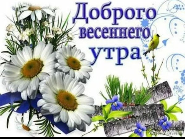 Доброе Весеннее утро