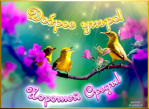 Весеннего настроения и отличной среды