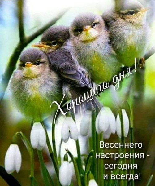 Весеннее настроение позитив