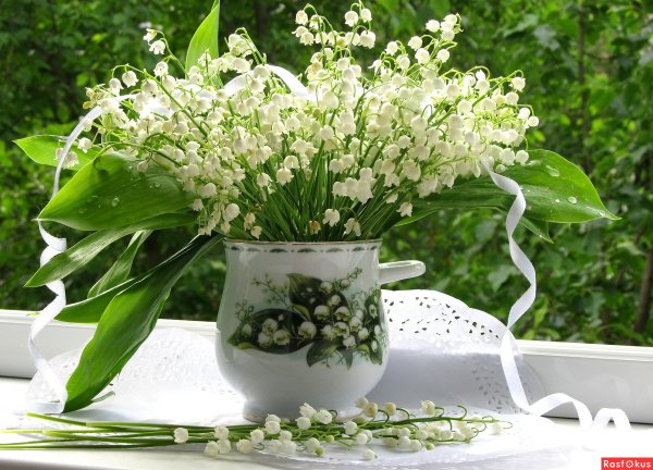 Доброе Весеннее утро Ландыши