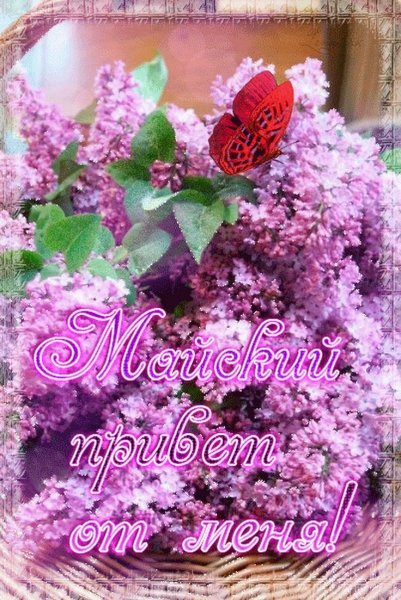 Доброго майского дня