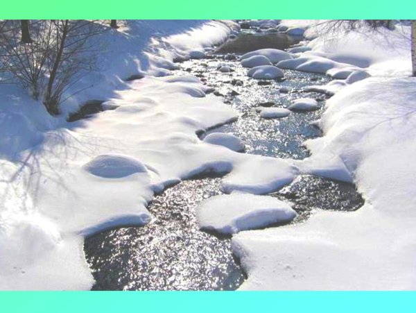 Ранняя Весна для дошкольников