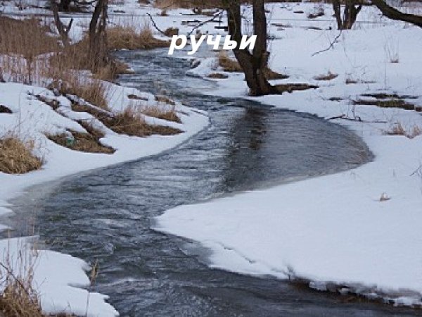 Бегут ручьи