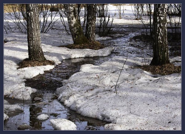 Весенний Ручеек