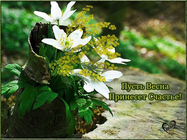 Счастливой вам весны