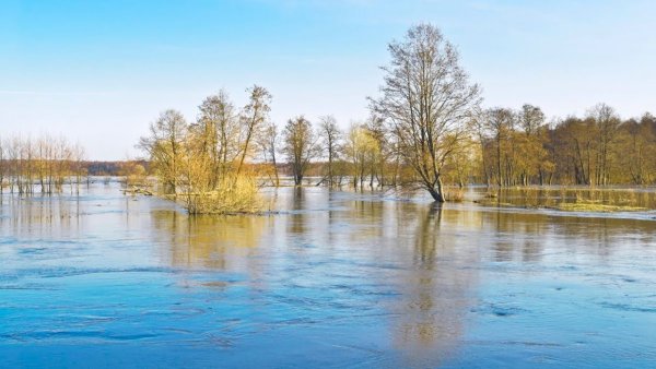 Весеннее половодье