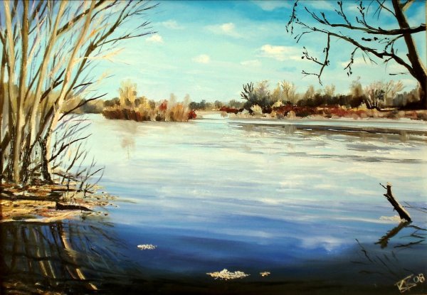 Художник Водолазкин Сергей