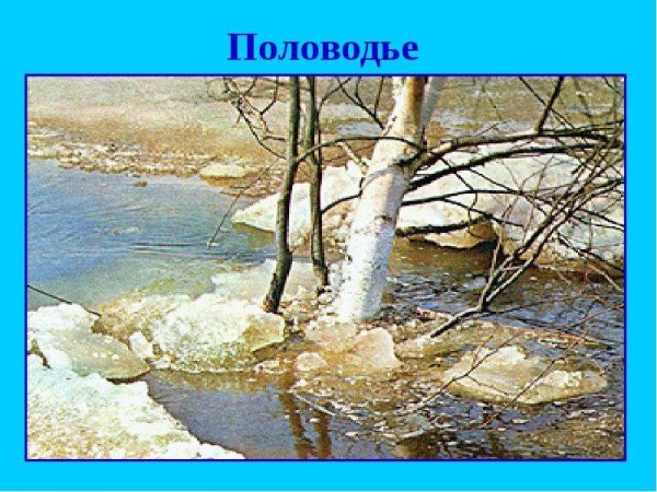 Весна капель половодье