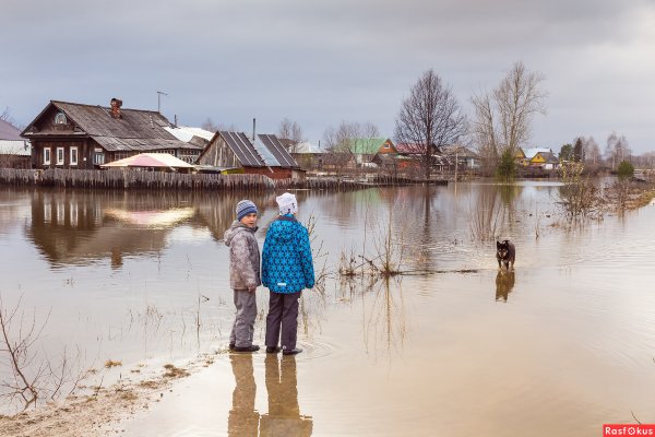 Женщины в весеннем половодье
