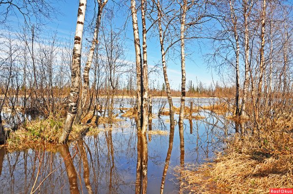 Лед на реке весной