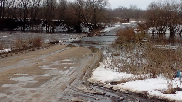 Ледоход в Боровичах