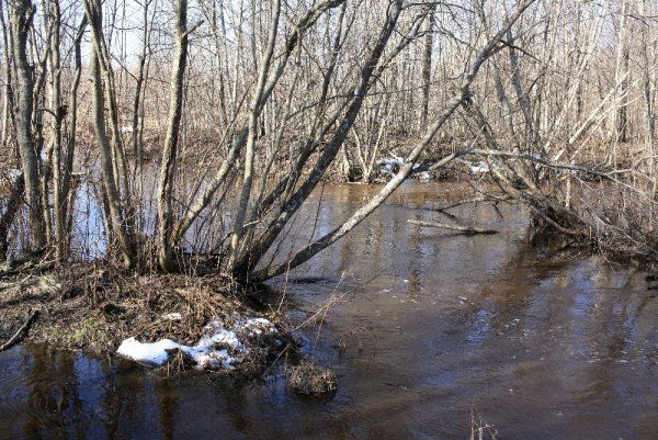 Речка весной