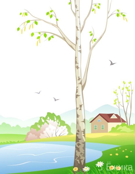 Береза весной для детей