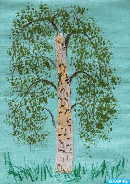 Береза осенью зимой весной