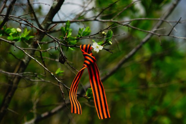 Майские цветы натюрморт