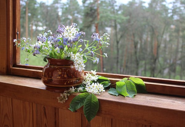 Открытки с днем рождения белые тюльпаны