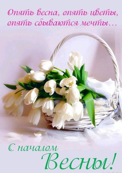 Опять метель текст