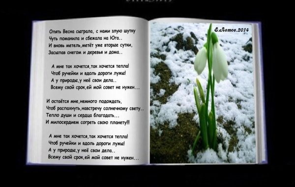 Матери прекрасные глаза