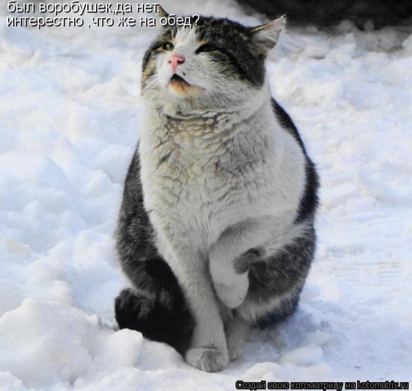 Душа хочет лето