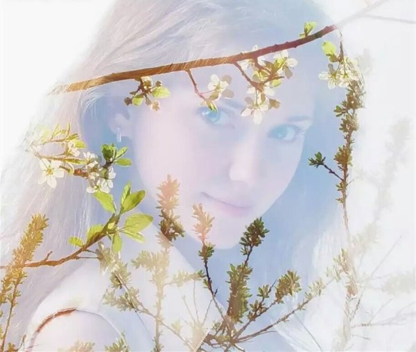 Уж Верба вся пушистая Фет