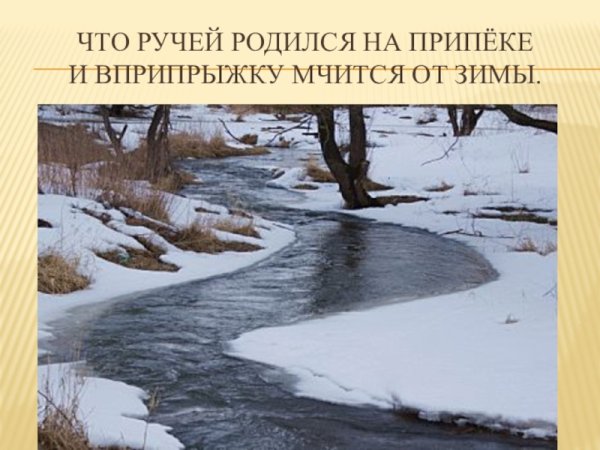 Бегут весенние ручьи