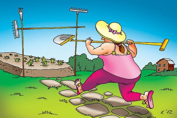 Приколы про дачу