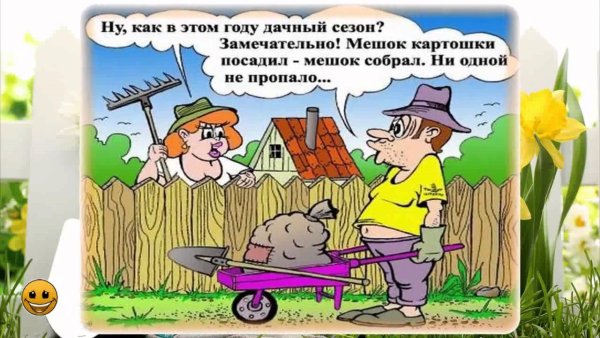 Шутки про огород