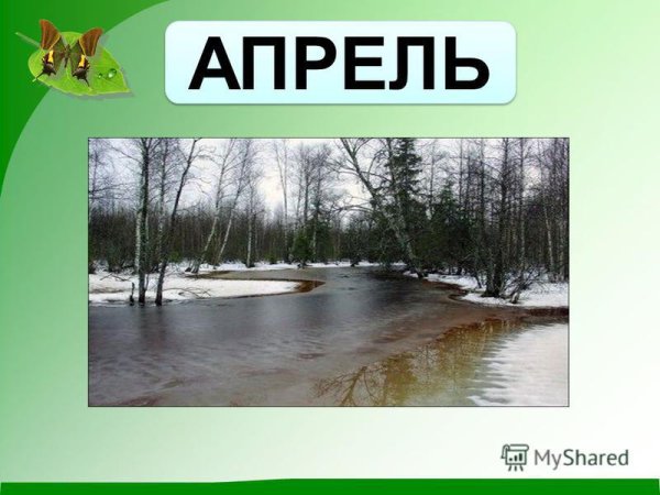 Доброе Весеннее утро