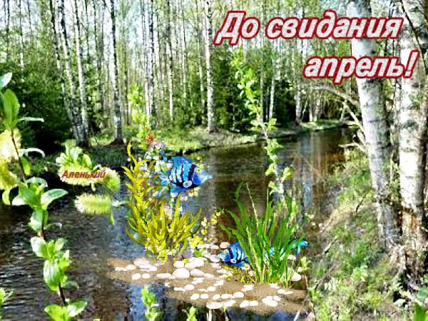 Весна весенние месяцы