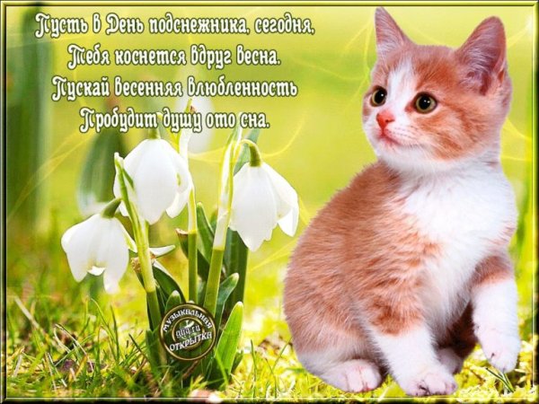 Счастливого апреля открытки