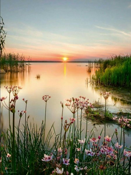 Красивый весенний рассвет