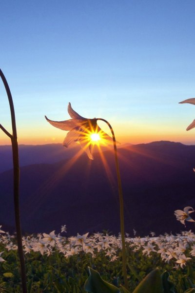 Красивый весенний рассвет