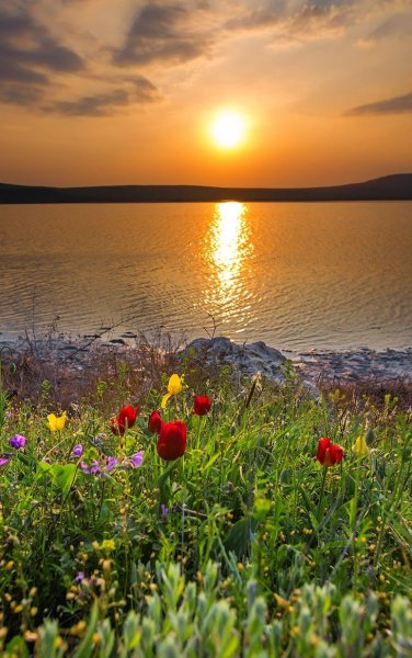 Прекрасный рассвет