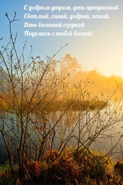 Весенний рассвет