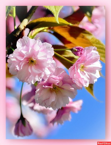 Мгновений весны