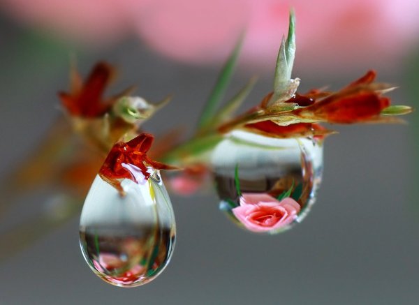 Радость волшебство