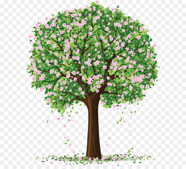 Весеннее дерево